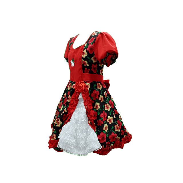 Vestido Huasa Adulto Floreado Negro/Rojo