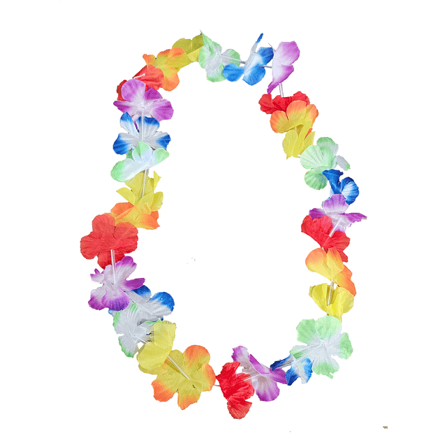 Collar De Flores Simple Multicolor X6