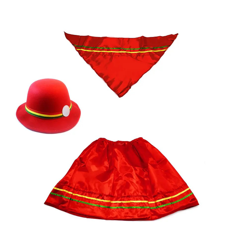 Disfraz Conjunto Tipico Nortino Niña Colores 2