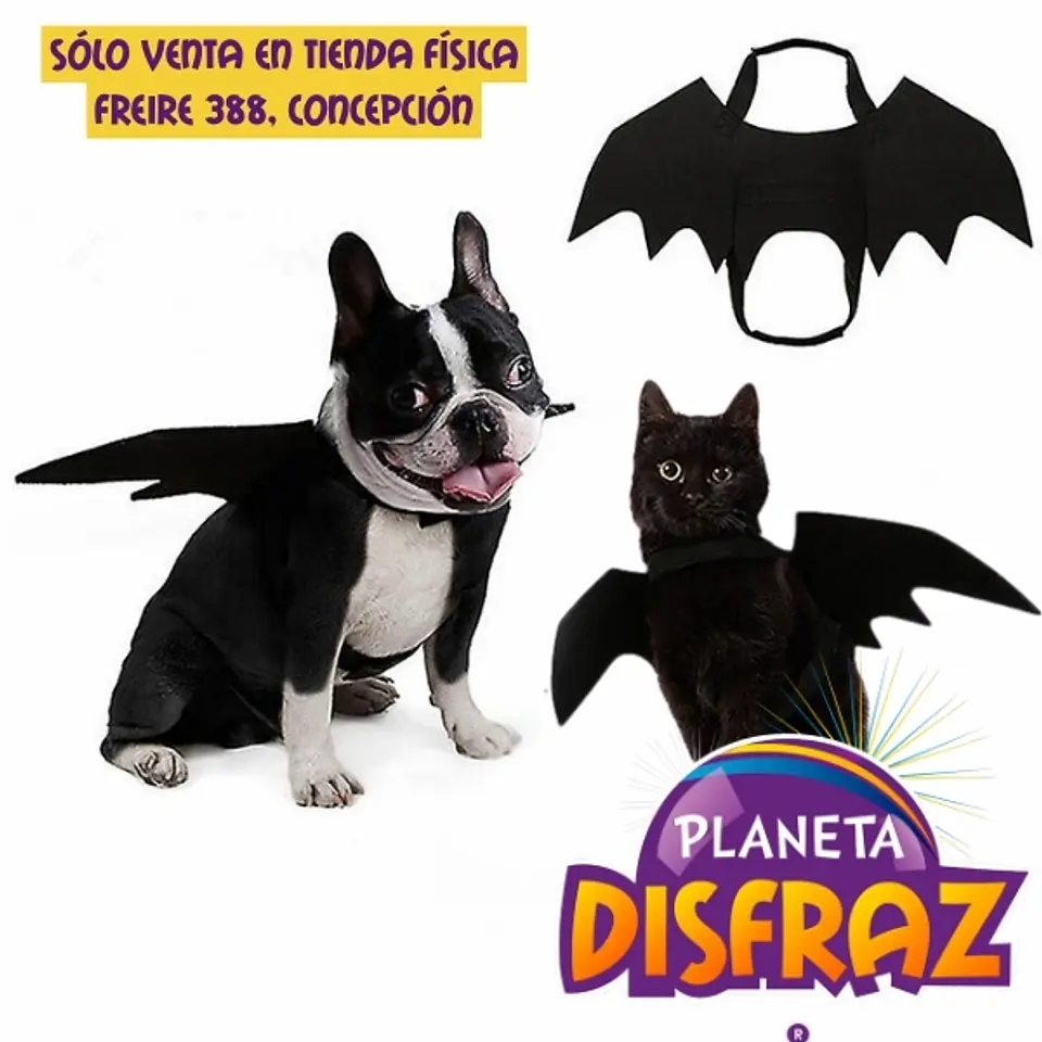 Alas De Vampiro Para Mascotas 1