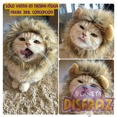 Gorro León Mascota