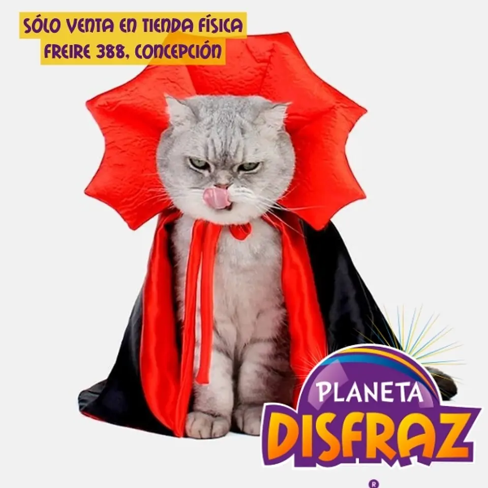 Capa Vampiro Para Mascota 1