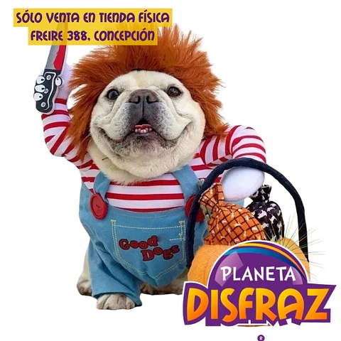 Disfraz Chuky Muñeco Asesino Mascota