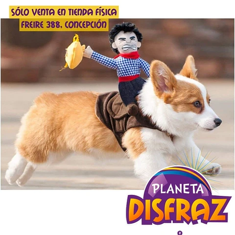 Disfraz Vaquero Montado Mascota