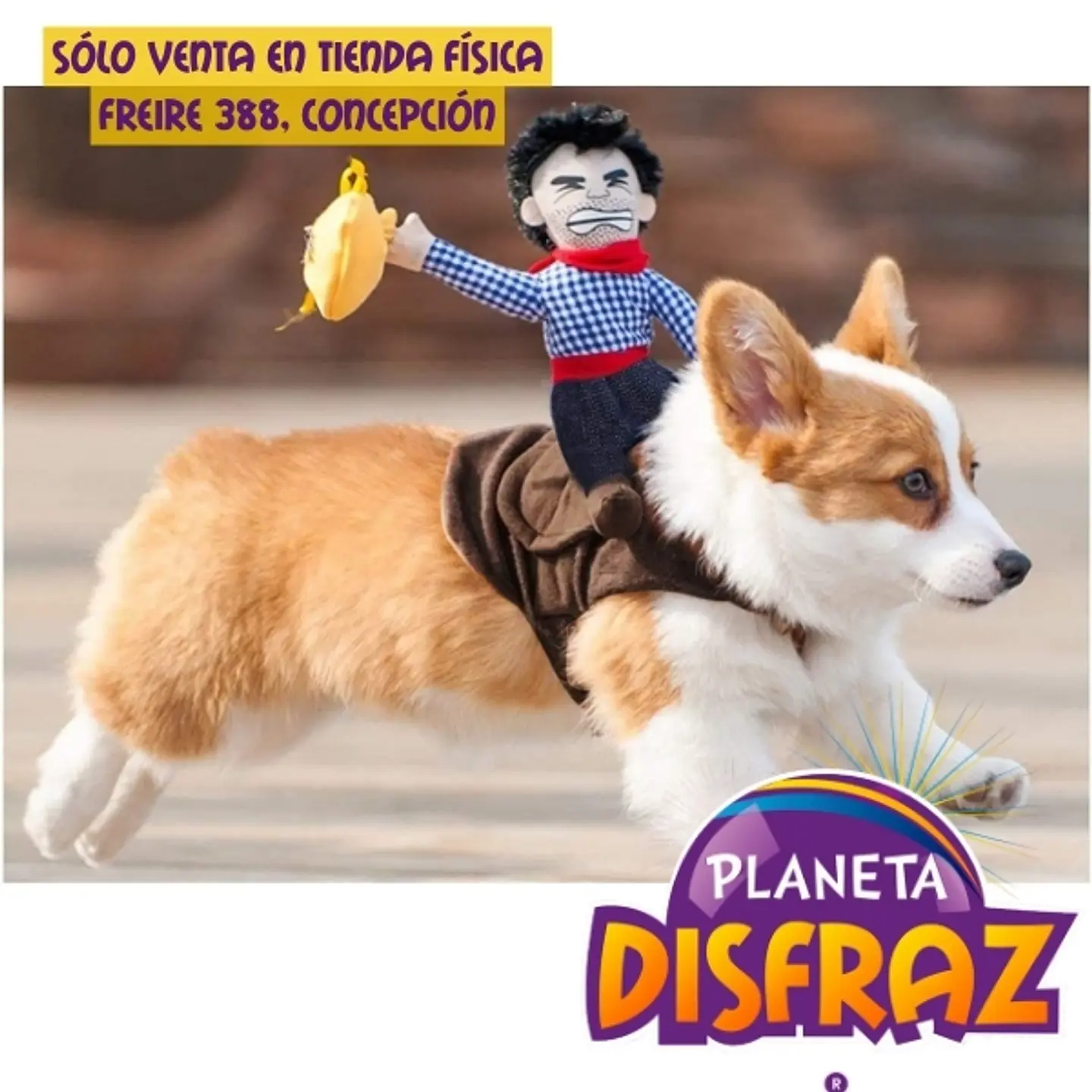 Disfraz Vaquero Montado Mascota 1