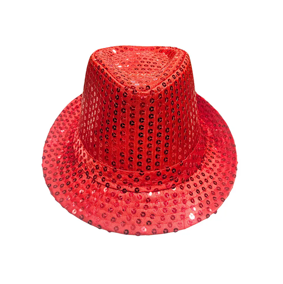 GORRO GUAPO TELA LENTEJUELAS 1