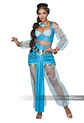 Disfraz Princesa Arabe Jasmine - Miniatura 1