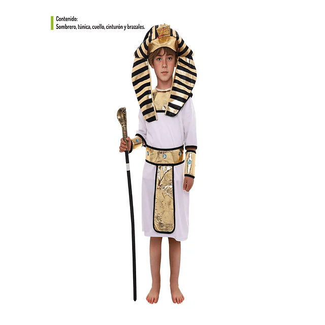 Disfraz Faraon Infantil