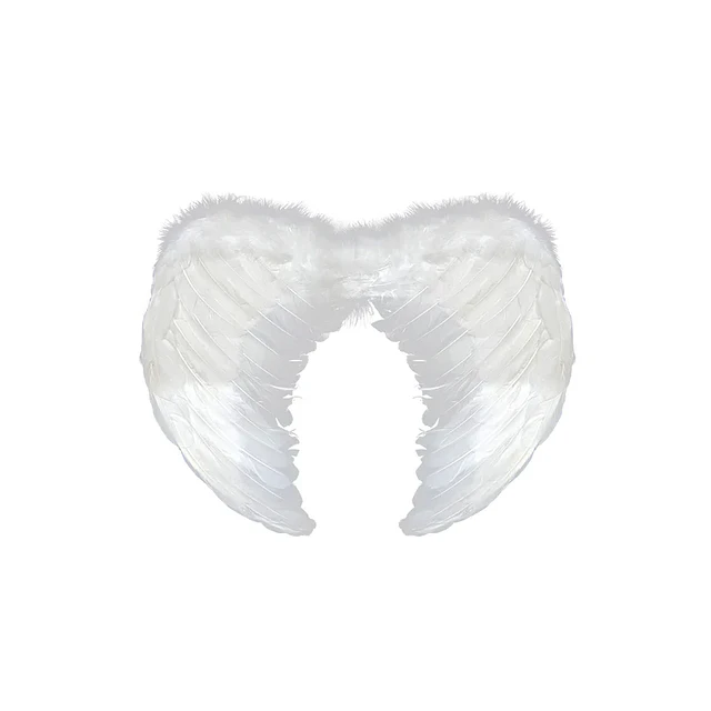 Alas de Angel Pluma Blanco 60x45 cm