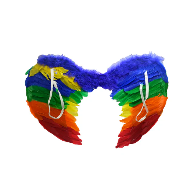 Alas Angel Plumas Arcoris 60X45CM