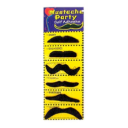 Set De Bigotes Surtidos 6 Unidades