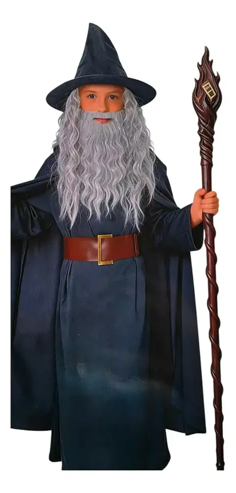 Disfraz Hechicero gris Infantil