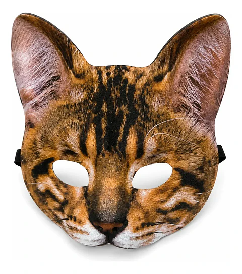 Mascara De Gato Goma Eva