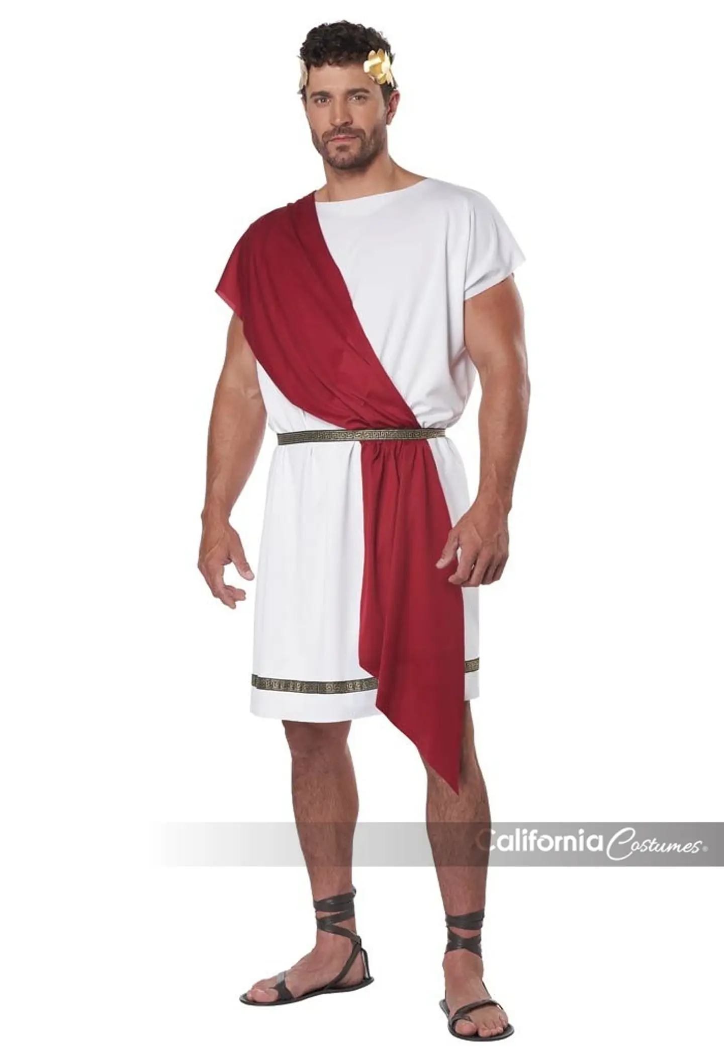 Disfraz Toga Grecorromana -Party Toga Adult 4