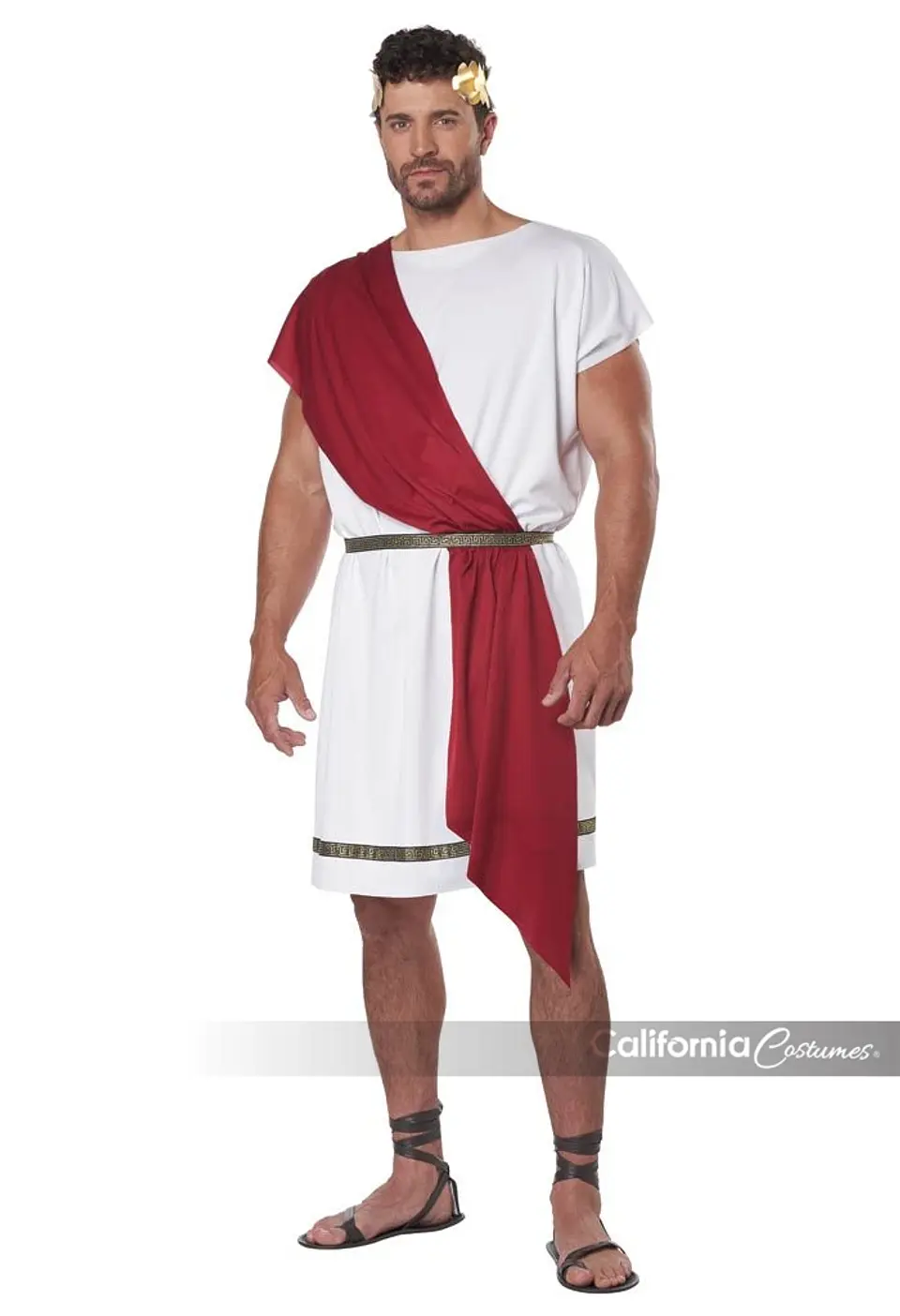 Disfraz Toga Grecorromana -Party Toga Adult 4