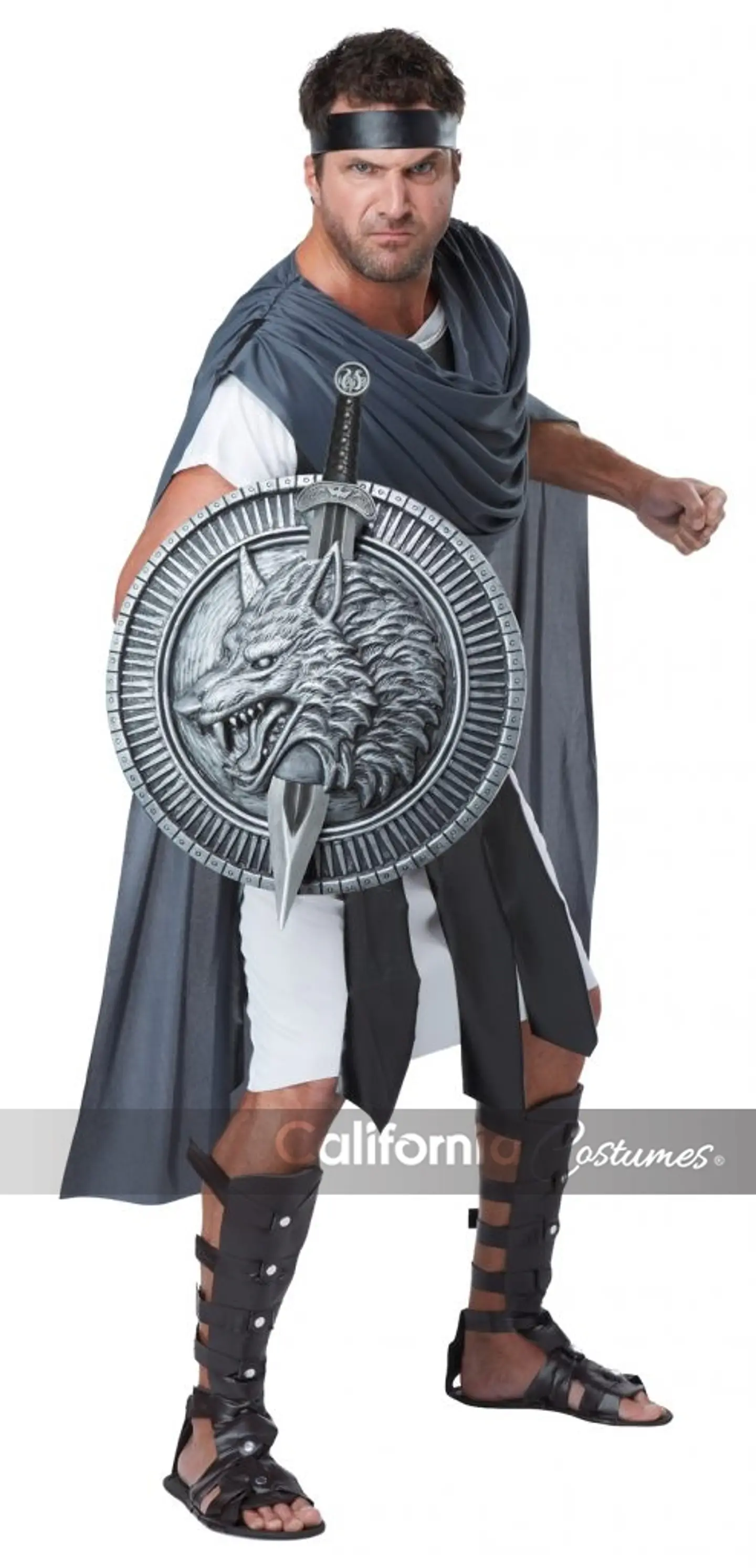 Escudo y Espada -Wolf master shield & sword 18
