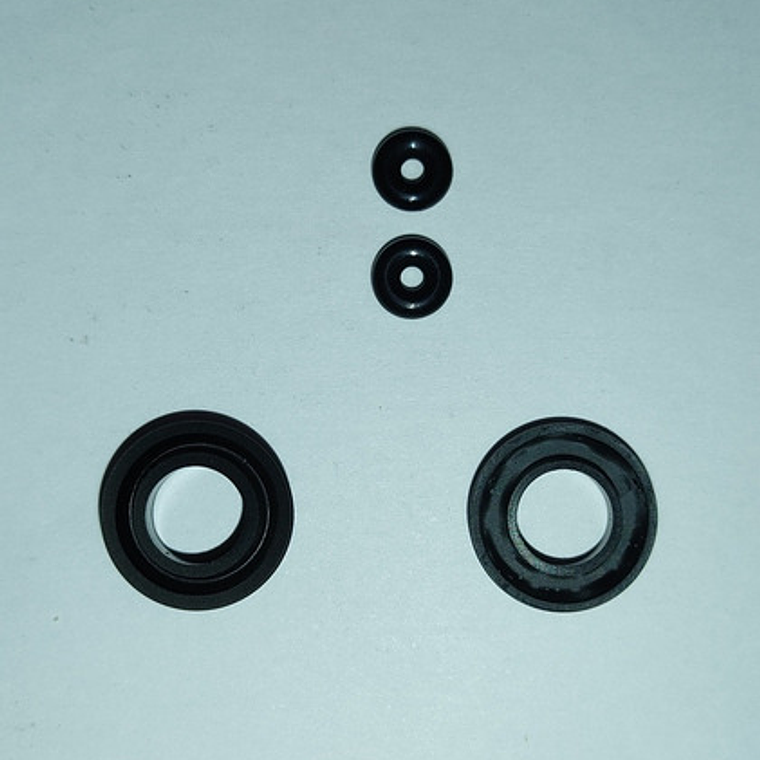 Kit De Reparación Cilindro Maestro Garris De 19 Mm 2