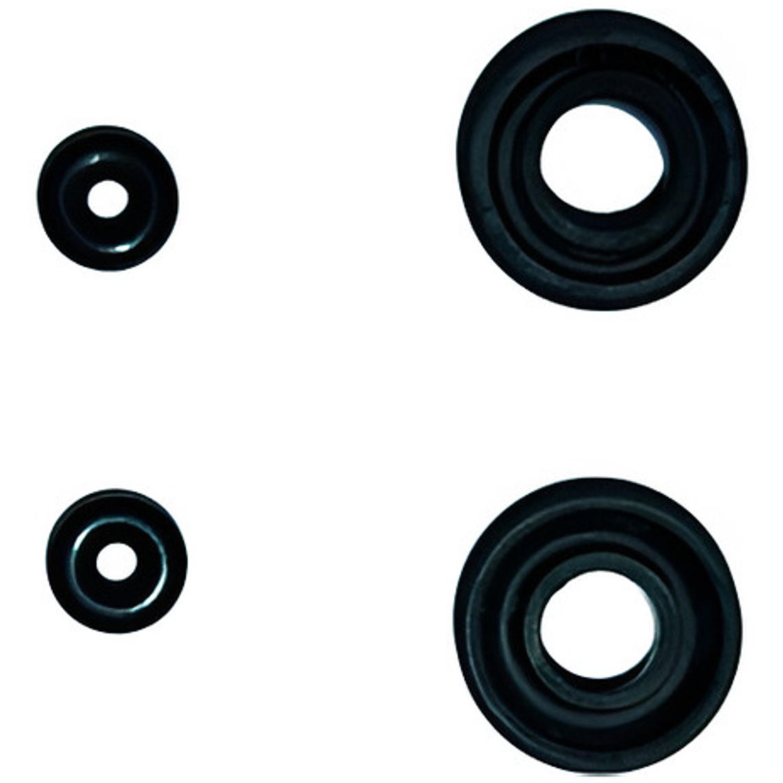 Kit De Reparación Cilindro Maestro Garris De 14 Mm 4