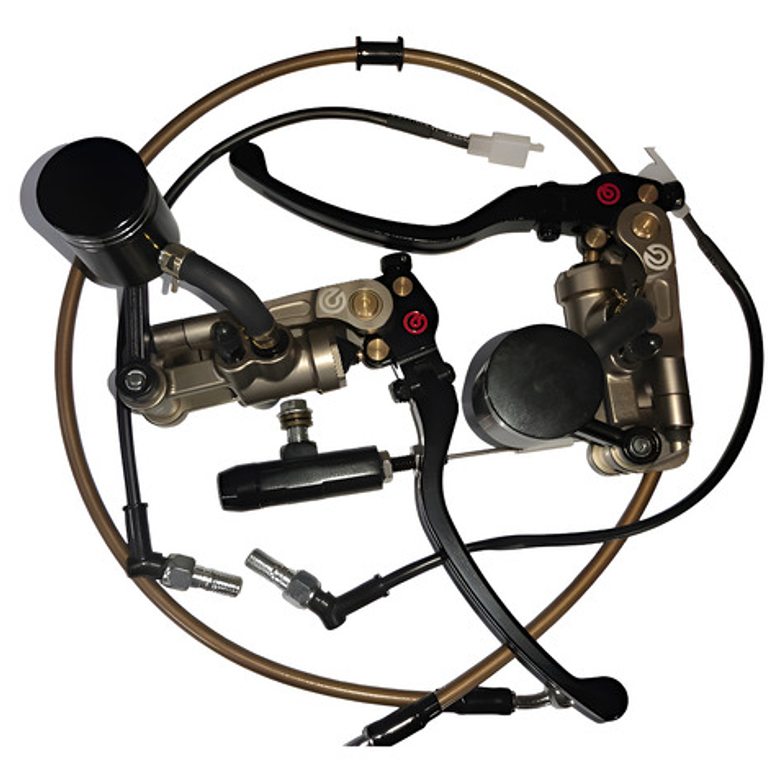 Freno Delantero Y Embrague Hidráulico Motogp  V4 1