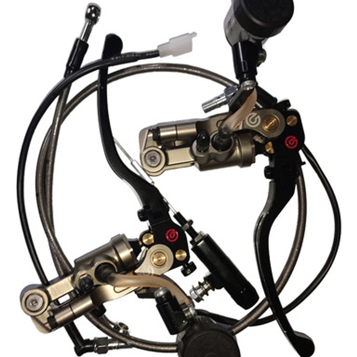 Freno Delantero Y Embrague Hidráulico Motogp  V4 2