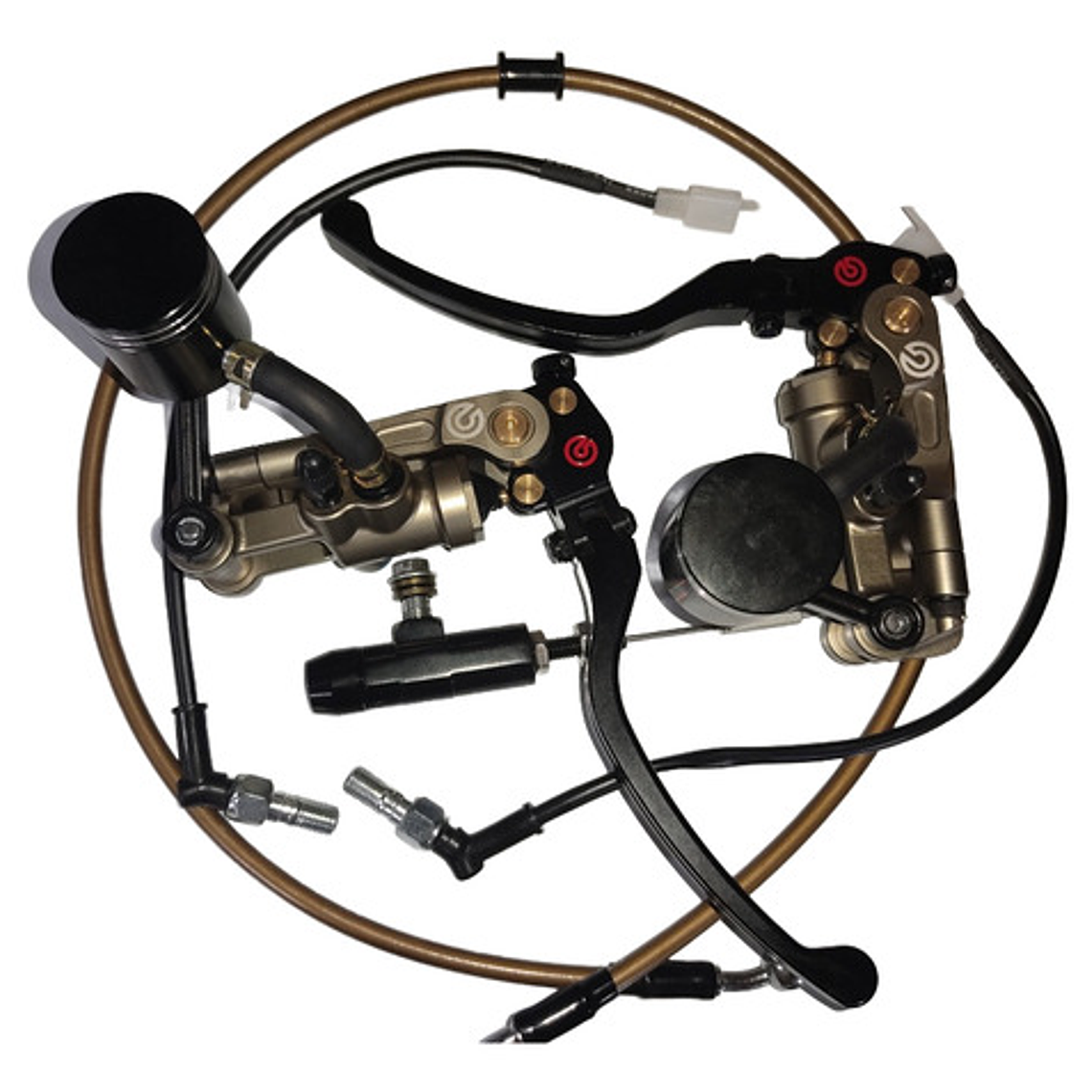 Freno Delantero Y Embrague Hidráulico Motogp  V4 7