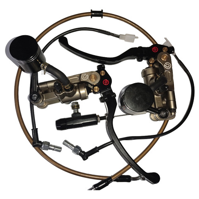 Freno Delantero Y Embrague Hidráulico Motogp  V4 7