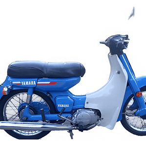 Cdi  5 Pin Yamaha Rkj V80 -2t