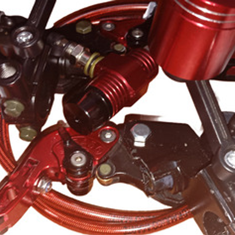 Phm Maniguetas Mtha19672032025526pm Ambos Lados 13