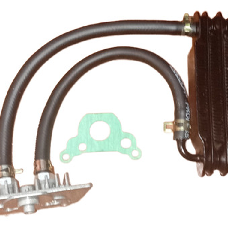 Radiador Enfriador De Aceite Para Eco Deluxe 1