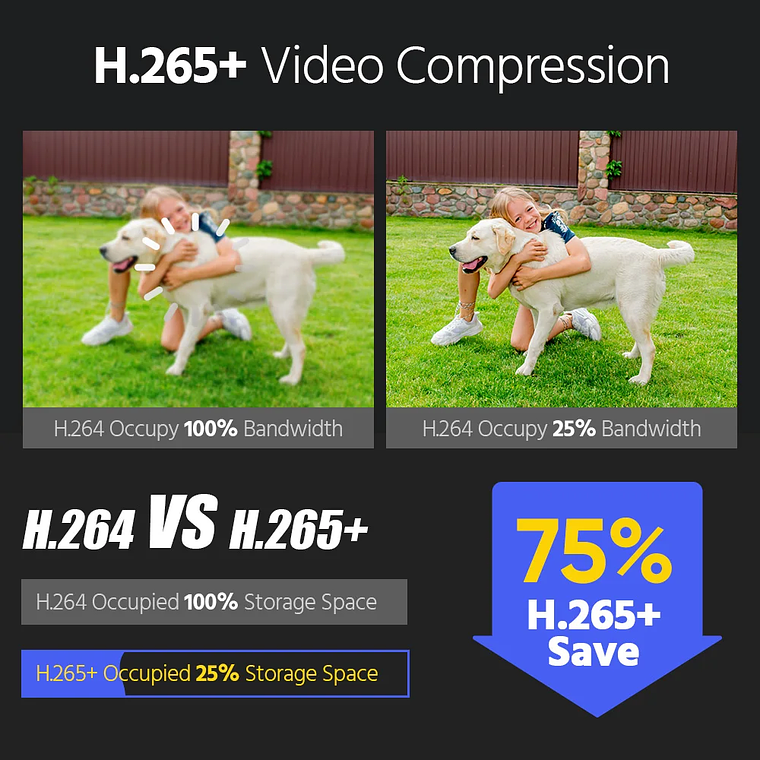 ANNKE-cámara de red con torreta de luz Dual inteligente, 12MP, lente de 2,8mm, detección de movimiento 2,0, micrófono incorporado, resistente al agua, hogar inteligente 4