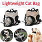 Bolsa ligera para mascotas, bolsa portátil para salir de perros y gatos, mochila para mascotas de gran capacidad, mochila transpirable para cachorros, correa ajustable - Thumbnail 1