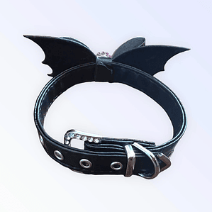 TD Fa-BOO-lous Pet Collar Stylish and Elegant Bat-Themed Accessory