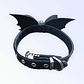 TD Fa-BOO-lous Pet Collar Stylish and Elegant Bat-Themed Accessory - Miniatura 2
