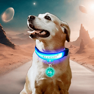 Illuminated Dog Cat Pet Collar with LED Light and Luminous Ball