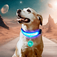 Illuminated Dog Cat Pet Collar with LED Light and Luminous Ball - Thumbnail 1