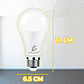 Pack of 5 ELEGATE 9W LED Bulbs 6500K Cold Light for Office Use - thumbnail 4