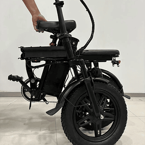 EU Wholesale Price 250W 20Ah 16*3.0 Fat Tire E-bike Throttle Assist Electric Bicycle