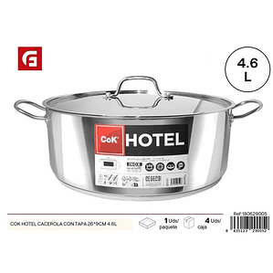 Saucepan with lid 26*9cm 4.6L - Kitchen utensils