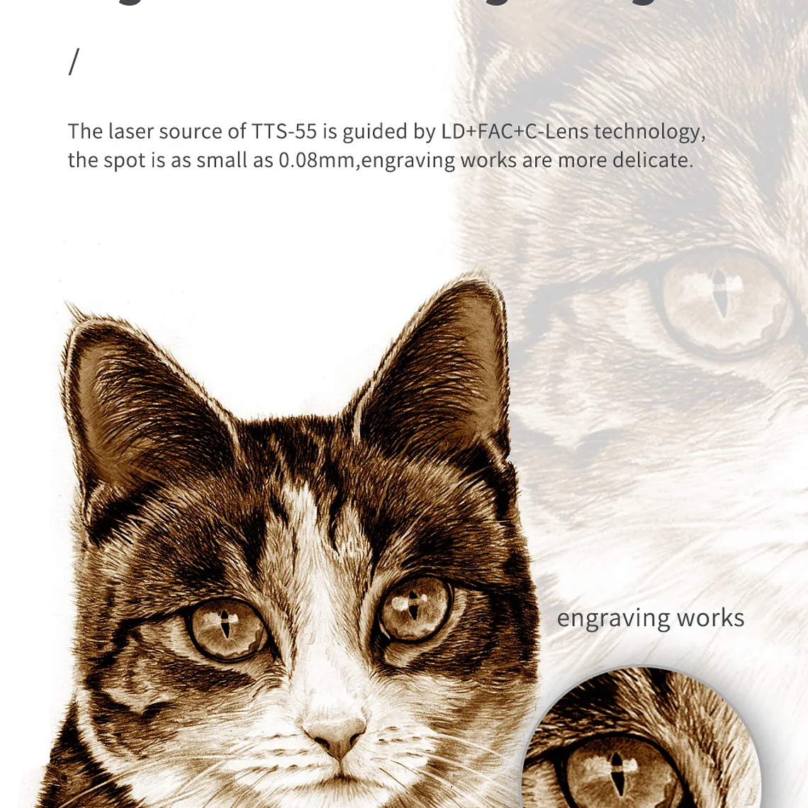 Grabador láser TwoTrees TTS-10 Pro TTS-55 Pro 40W/80W máquina de corte de grabado láser para carpintería para acero inoxidable acrílico 15