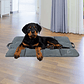 ELEGATE Large Dog Mat MAS.38 Waterproof Padded and Durable with Handle - thumbnail 2