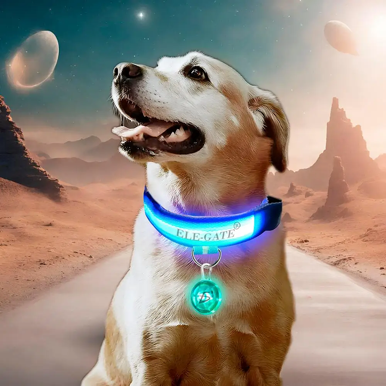 Illuminated Dog Cat Pet Collar with LED Light and Luminous Ball 1