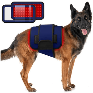 Cinturón de terapia de luz infrarroja roja para mascotas, dispositivo de terapia láser frío portátil de longitud de onda de 660 y 850nm para alivio del dolor de perros y artritis