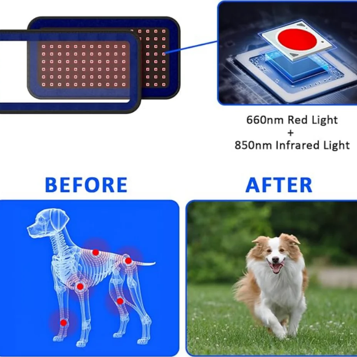 Cinturón de terapia de luz infrarroja roja para mascotas, dispositivo de terapia láser frío portátil de longitud de onda de 660 y 850nm para alivio del dolor de perros y artritis 4