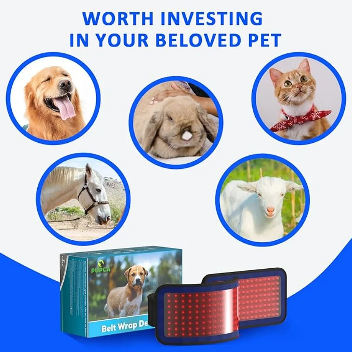 Cinturón de terapia de luz infrarroja roja para mascotas, dispositivo de terapia láser frío portátil de longitud de onda de 660 y 850nm para alivio del dolor de perros y artritis 5