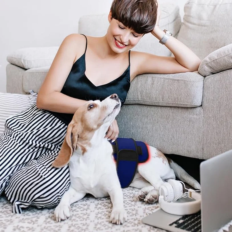 Cinturón de terapia de luz infrarroja roja para mascotas, dispositivo de terapia láser frío portátil de longitud de onda de 660 y 850nm para alivio del dolor de perros y artritis 6