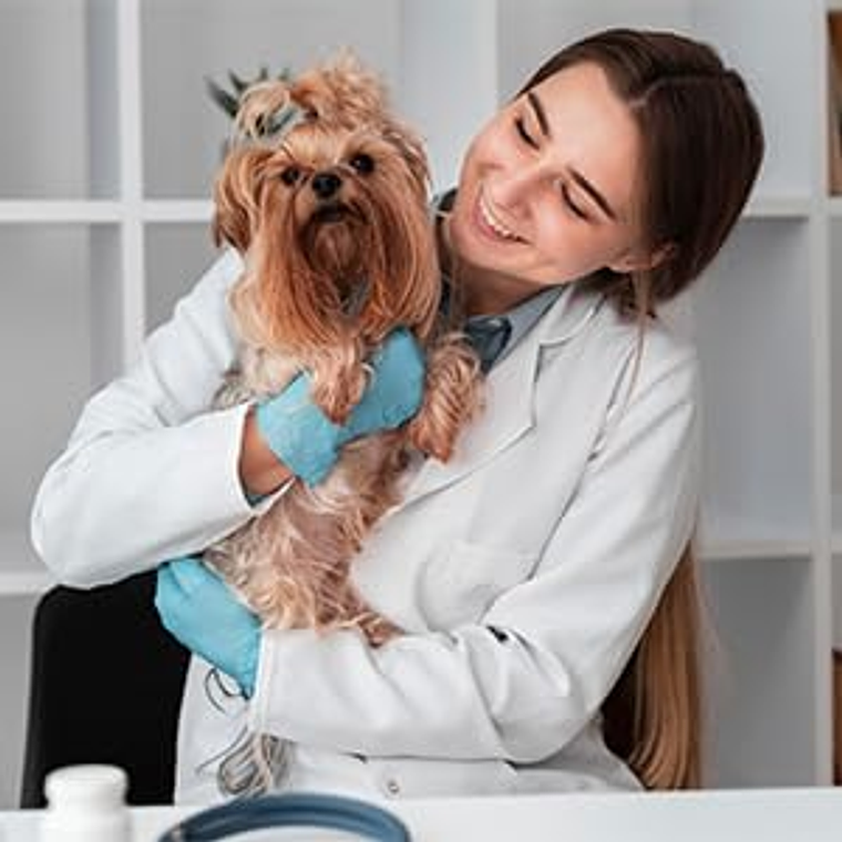 Cinturón de terapia de luz infrarroja roja para mascotas, dispositivo de terapia láser frío portátil de longitud de onda de 660 y 850nm para alivio del dolor de perros y artritis 11