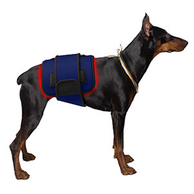 Cinturón de terapia de luz infrarroja roja para mascotas, dispositivo de terapia láser frío portátil de longitud de onda de 660 y 850nm para alivio del dolor de perros y artritis 12