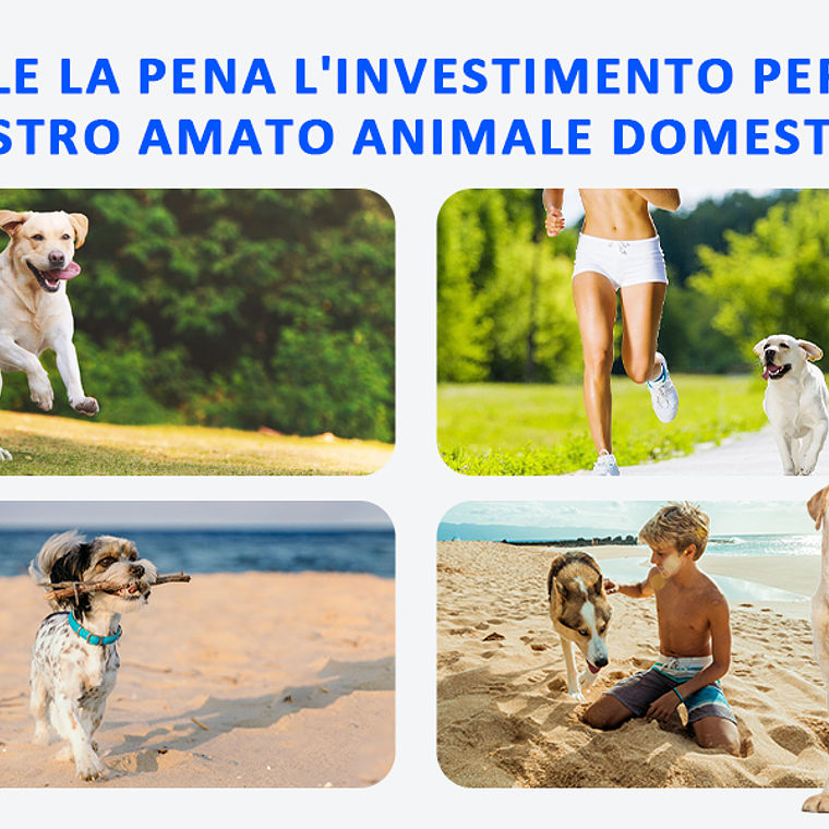 Cinturón de terapia de luz infrarroja roja para mascotas, dispositivo de terapia láser frío portátil de longitud de onda de 660 y 850nm para alivio del dolor de perros y artritis 13