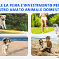 Cinturón de terapia de luz infrarroja roja para mascotas, dispositivo de terapia láser frío portátil de longitud de onda de 660 y 850nm para alivio del dolor de perros y artritis - thumbnail 13