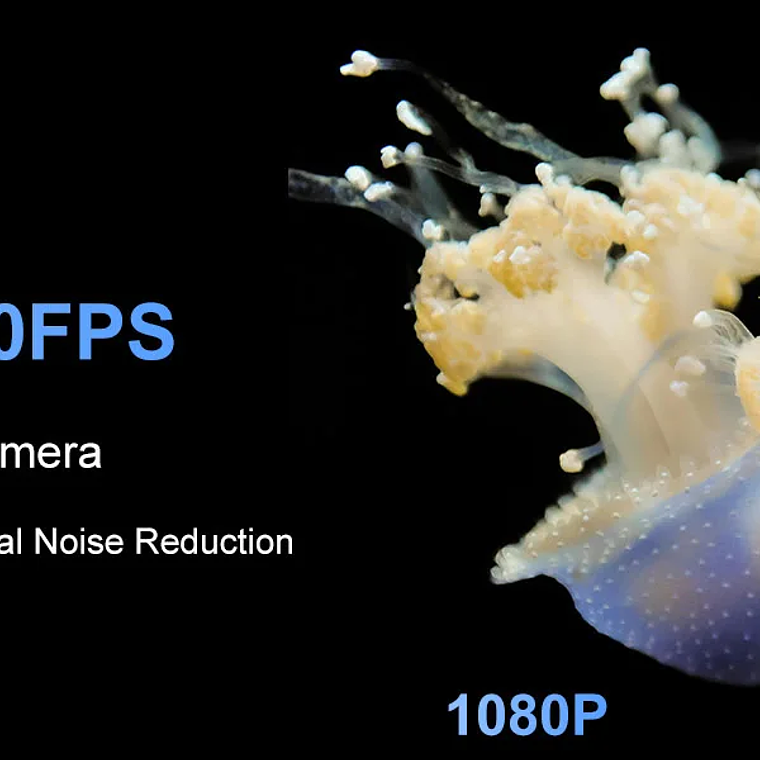 Cámara Runpu 1080p NDI PTZ con Zoom óptico 12/20/30X, seguimiento automático AI, cámara HDMI PTZ, compatible con POE para servicio al vivo de adoración en la iglesia 17